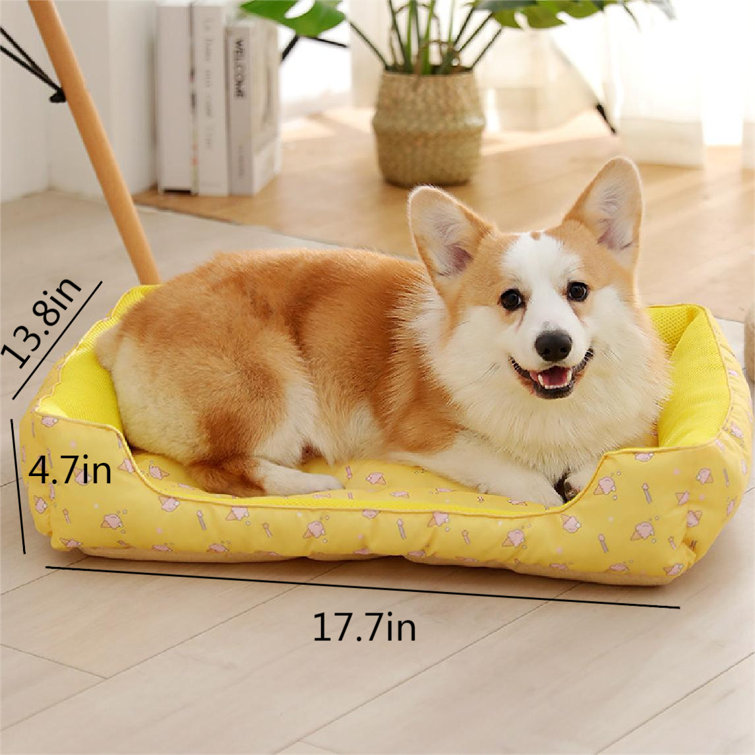 Hund dog outlet beds